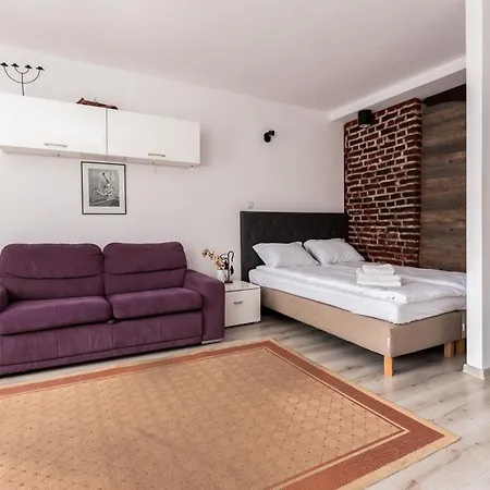 Apartment Dlugi Targ City View Studio Danzig
